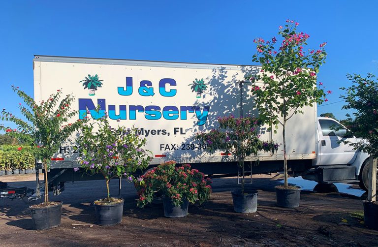 J & C Nursery Inc Fort Myers